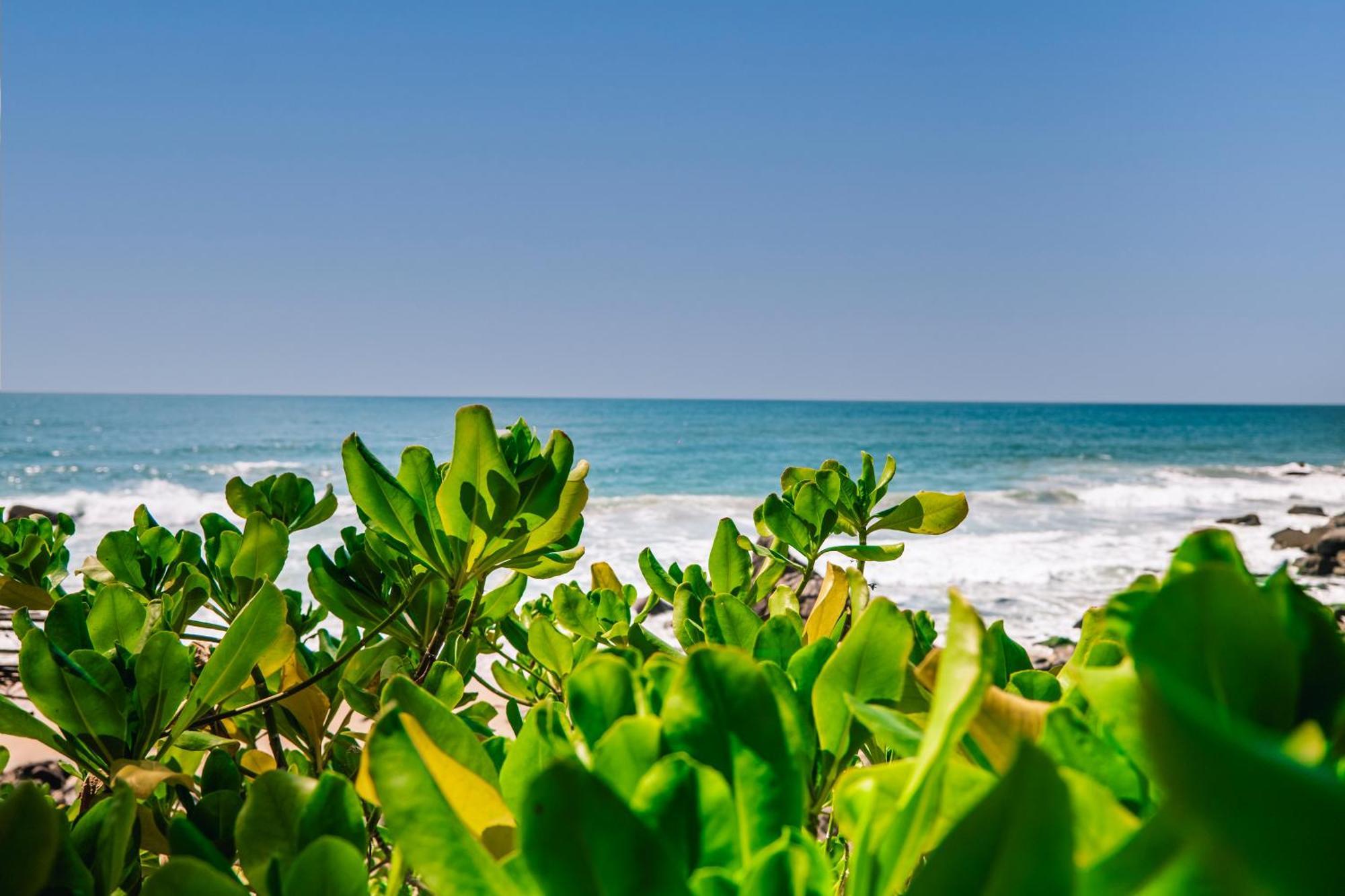 Haramara Retreat Otel Sayulita Dış mekan fotoğraf