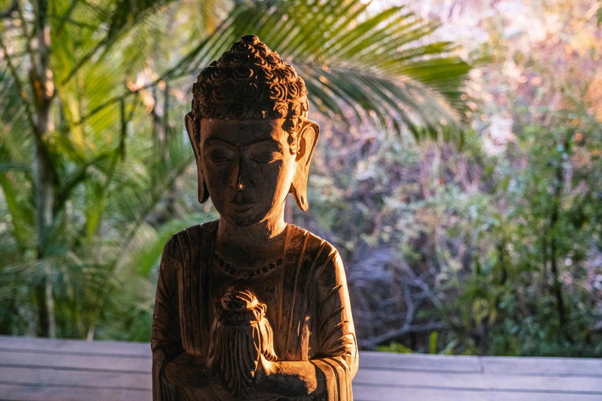 Haramara Retreat Otel Sayulita Dış mekan fotoğraf